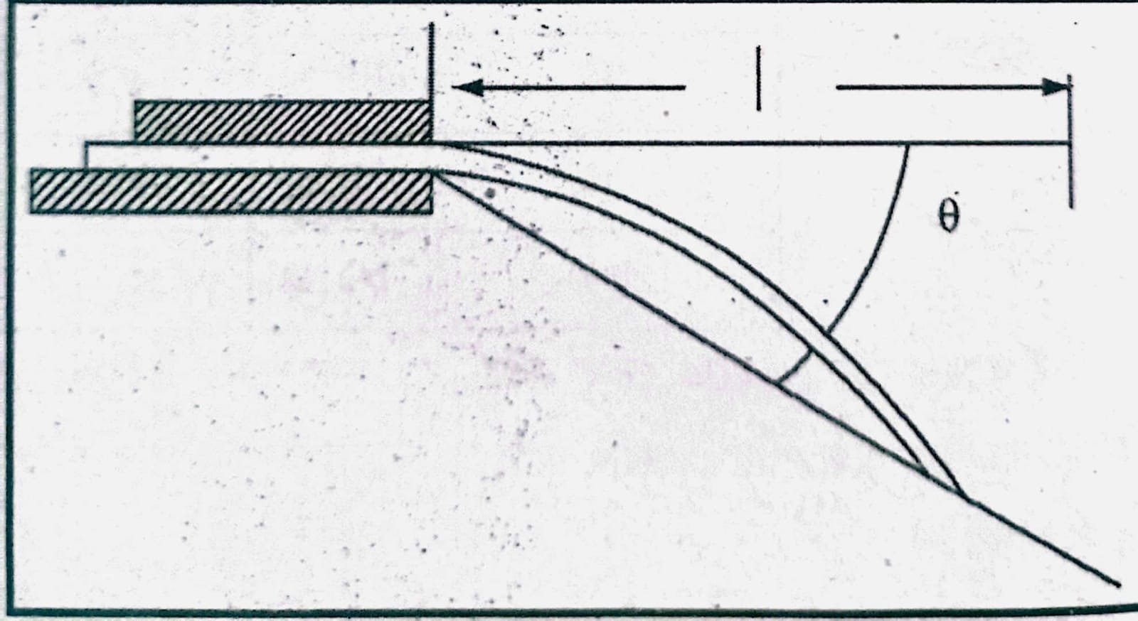শার্লি স্টিফনেস টেস্টার