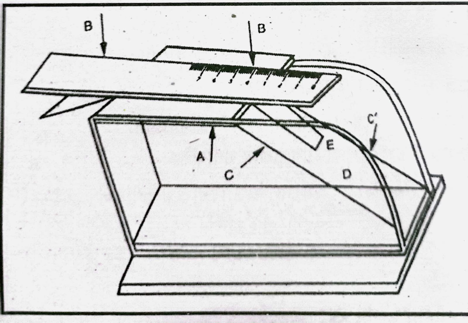 শার্লি স্টিফনেস টেস্টার