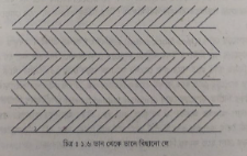 কাপড়ের লে এর প্রকারভেদ