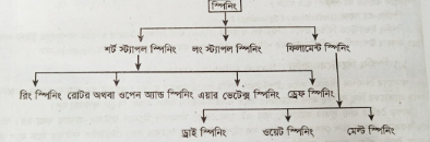স্পিনিং সিস্টেমের শ্রেণিবিভাগ