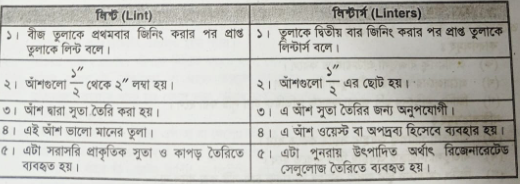 লিন্ট ও লিন্টার্স