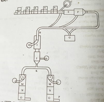 আদর্শরূপে ব্লোরুম লাইন সাজানোর প্রক্রিয়া 