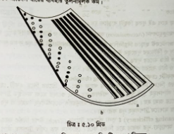 গ্রিড-বার