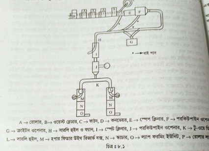 বাইপাস সিস্টেম