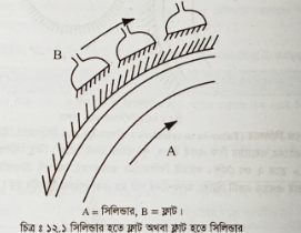 বিভিন্ন অঞ্চলের মধ্যে কার্ডিং ও স্ট্রিপিং অ্যাকশন
