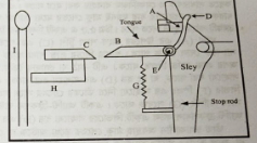 দৃঢ় শানা টানা প্রতিরক্ষা মেকানিজম