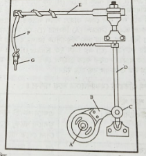 ঢিলা শানা প্রতিরক্ষা মেকানিজম