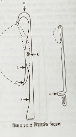 ট্রিকোট ওয়ার্প নিটিং মেশিনের বর্ণনা